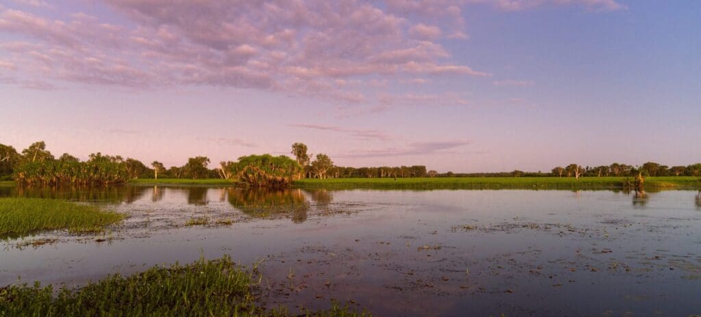 Flooded plain with lush vegetation uder a blue sky with a few clouds. Serene and tranquil landscape.