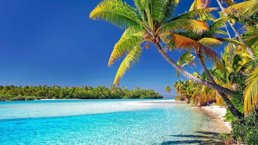A tropical beach scene with vibrant turquoise water, lush palm trees, and a clear blue sky. The tranquil setting conveys a sense of peace and relaxation.