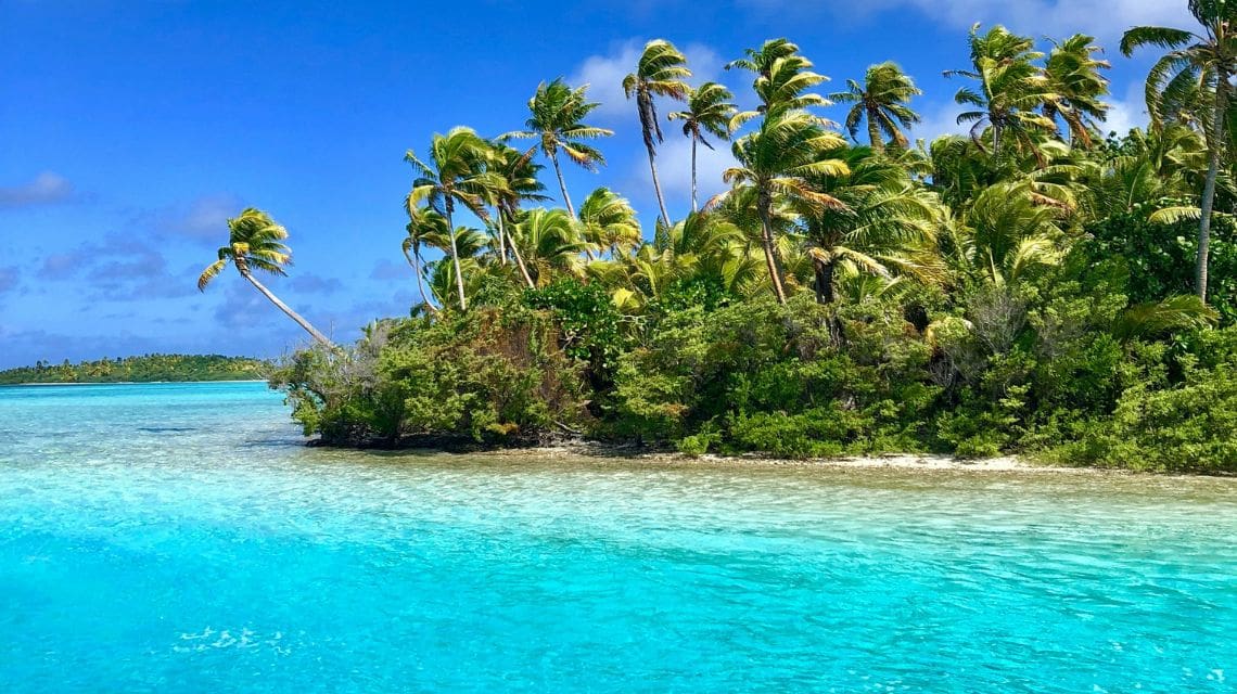 Tropical beach scene with vibrant turquoise water and lush green palm trees swaying against a clear blue sky, evoking a serene, idyllic paradise.