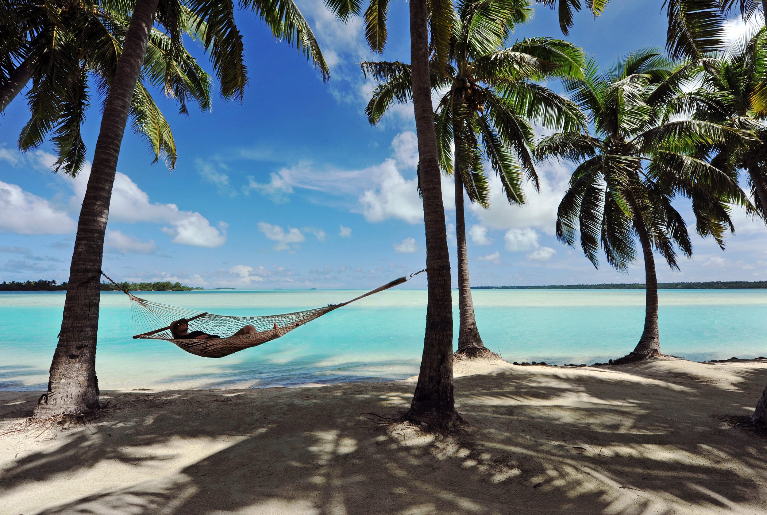 A person relaxes in a hammock between palm trees on a sandy beach, overlooking turquoise water with a clear blue sky, evoking a serene, tropical vibe.
