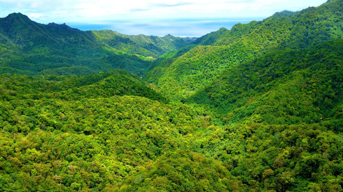 Lush green mountains and valleys under a bright sky, creating a serene and expansive landscape. The scene conveys tranquility and natural beauty.