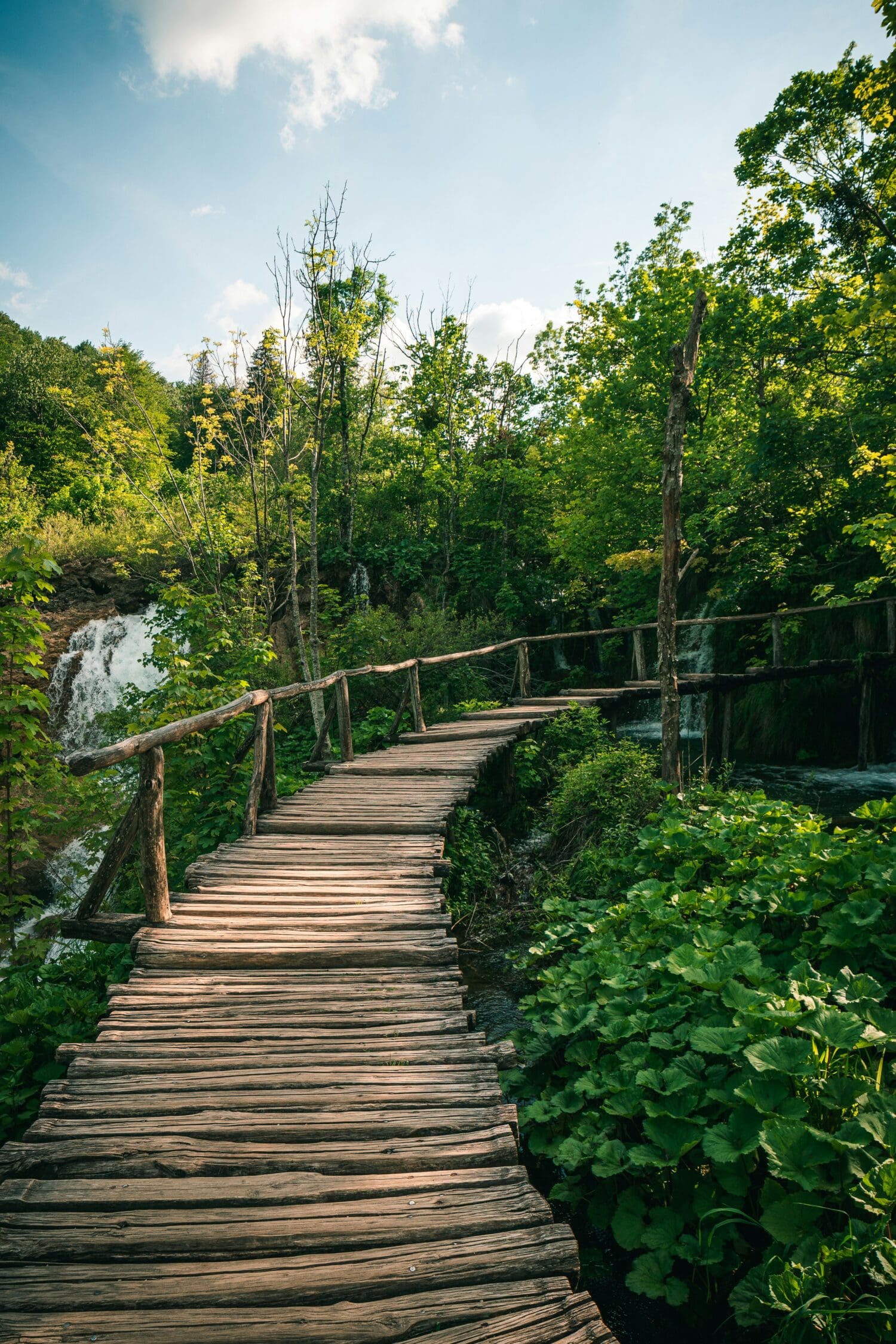 Rustic wooden bridge meanders through lush green forest with sunlight filtering through, beside a cascading waterfall under a blue, partly cloudy sky.