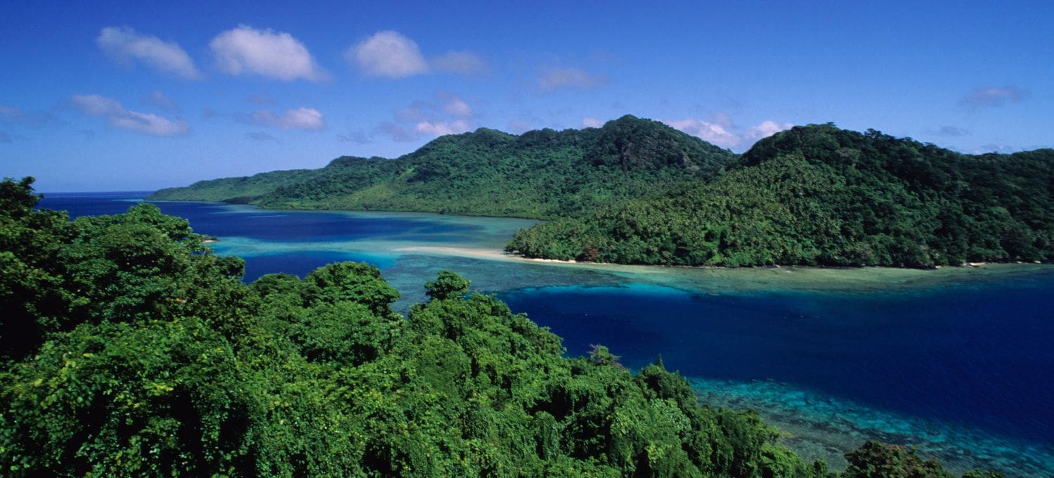 Lush green forested islands surrounded by vibrant turquoise waters under a clear blue sky, conveying a tranquil and tropical atmosphere.