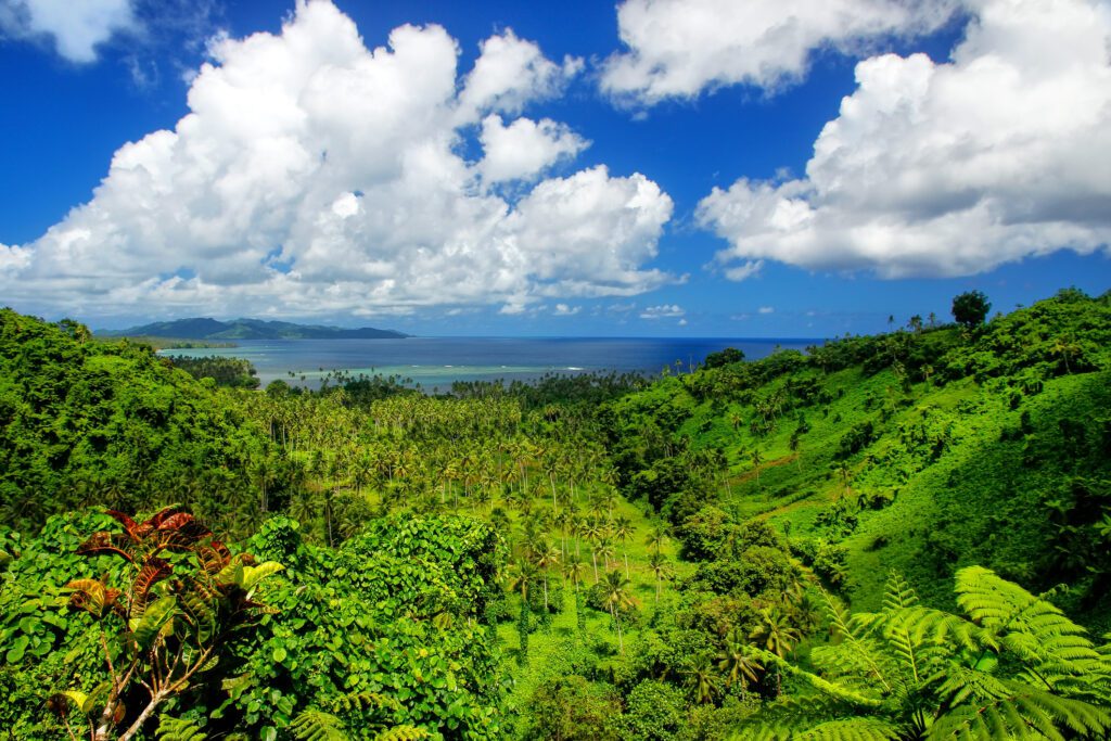 Lush green landscape with palm trees and hills under a bright blue sky, dotted with fluffy white clouds. Ocean visible in the distance, conveying serenity.