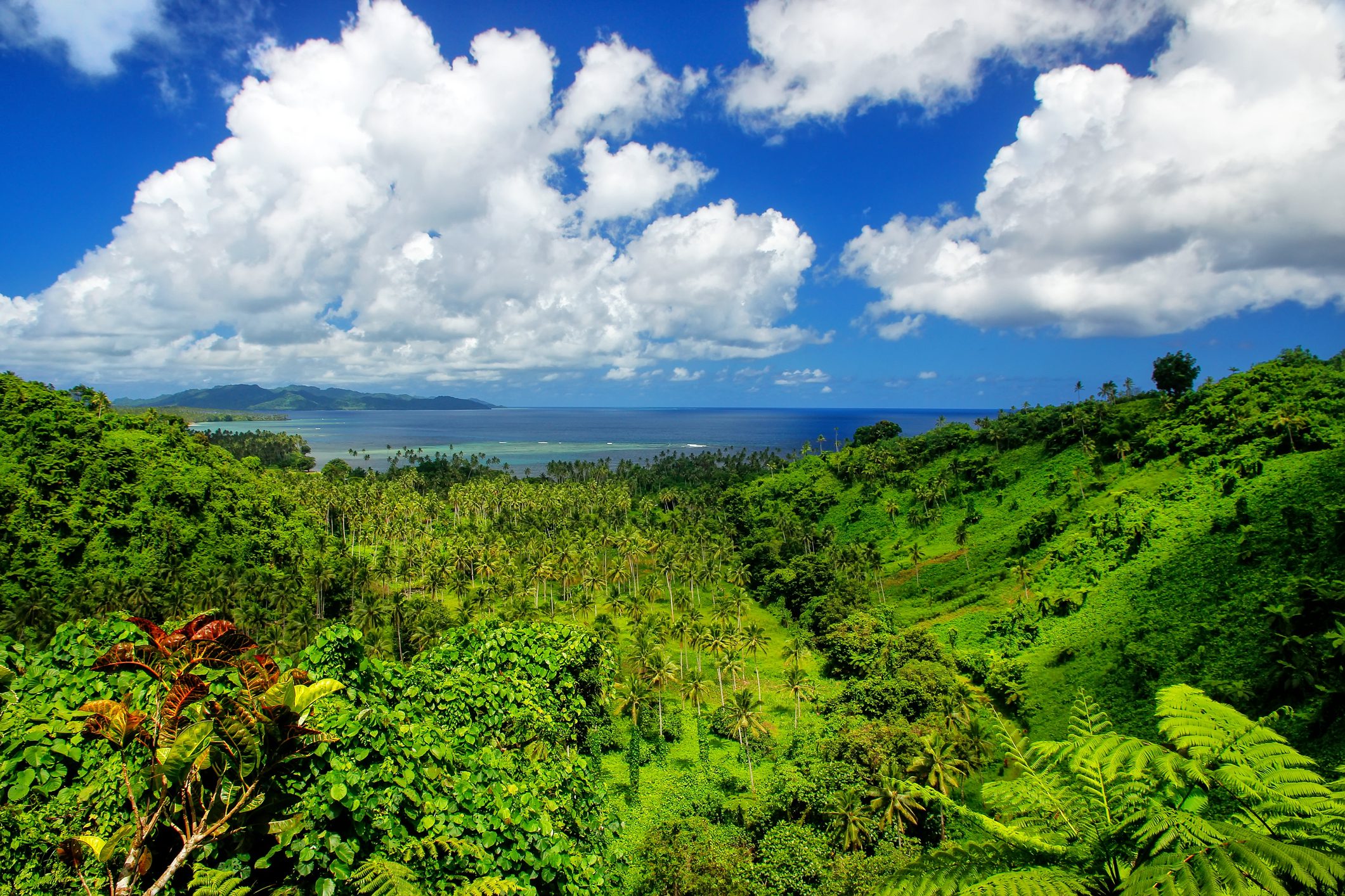 Lush green landscape with palm trees and hills under a bright blue sky, dotted with fluffy white clouds. Ocean visible in the distance, conveying serenity.