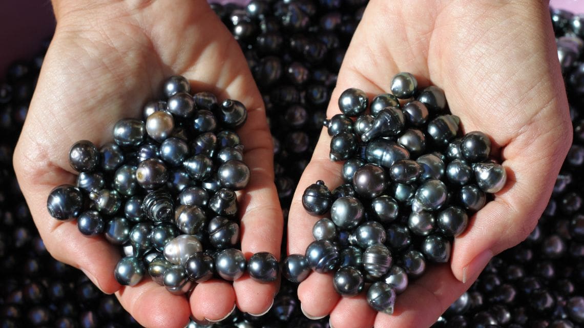 Hands holding a large quantity of shiny, dark pearls with iridescent hues. The pearls look luxurious, conveying a sense of opulence and rarity.
