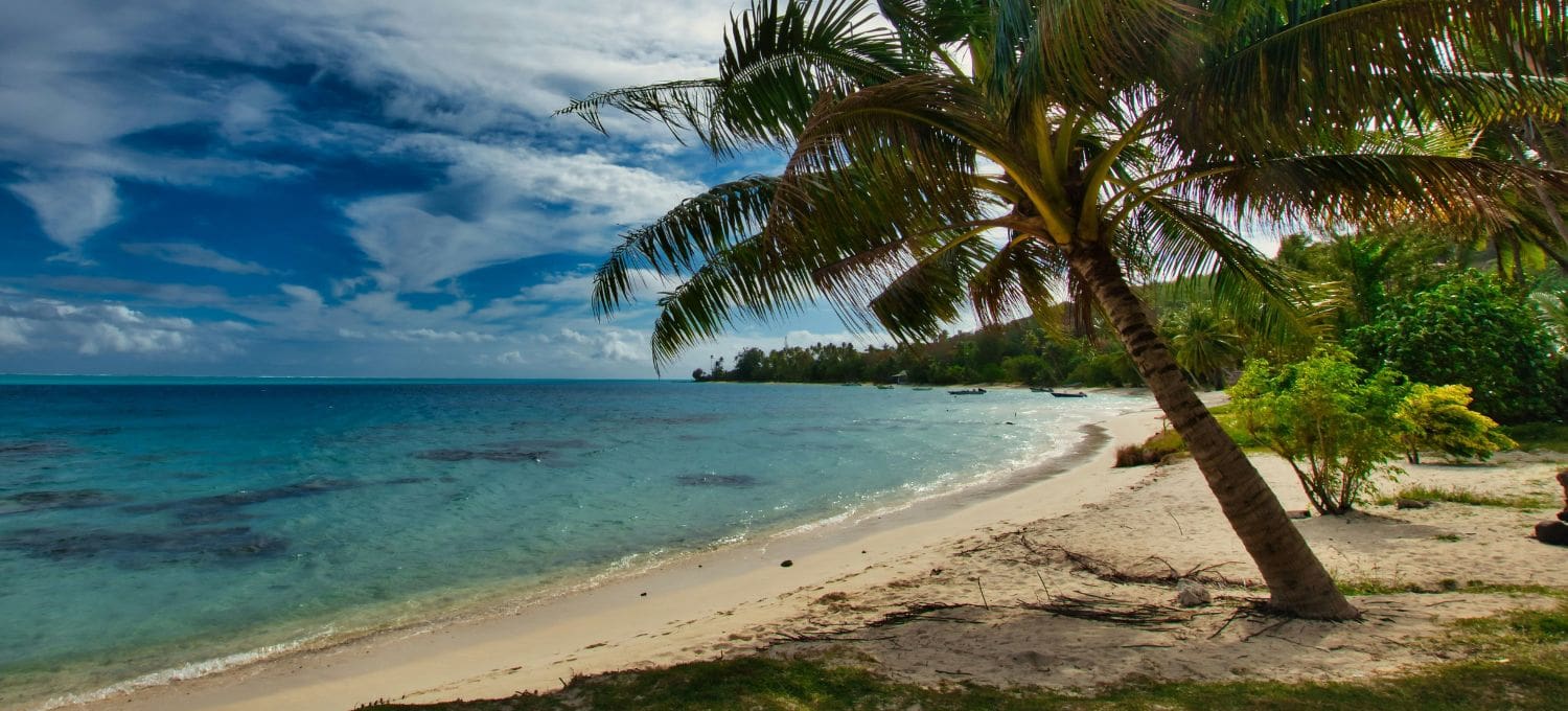 A serene tropical beach scene with a clear blue sky, turquoise water, white sand, and a gently leaning palm tree. Lush greenery lines the shore. Peaceful vibe.