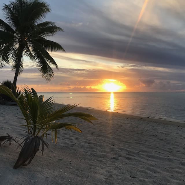 Tropical sunset with palm trees in the foreground