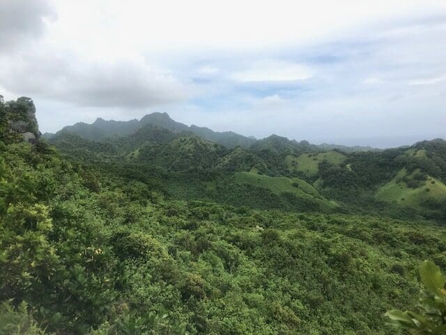Lush green mountains