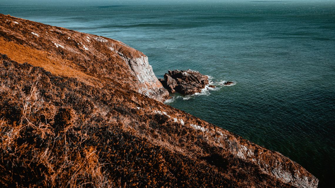 A rugged cliff covered in autumnal brown grass juts into a calm blue ocean under a clear sky, creating a serene and natural coastal landscape.