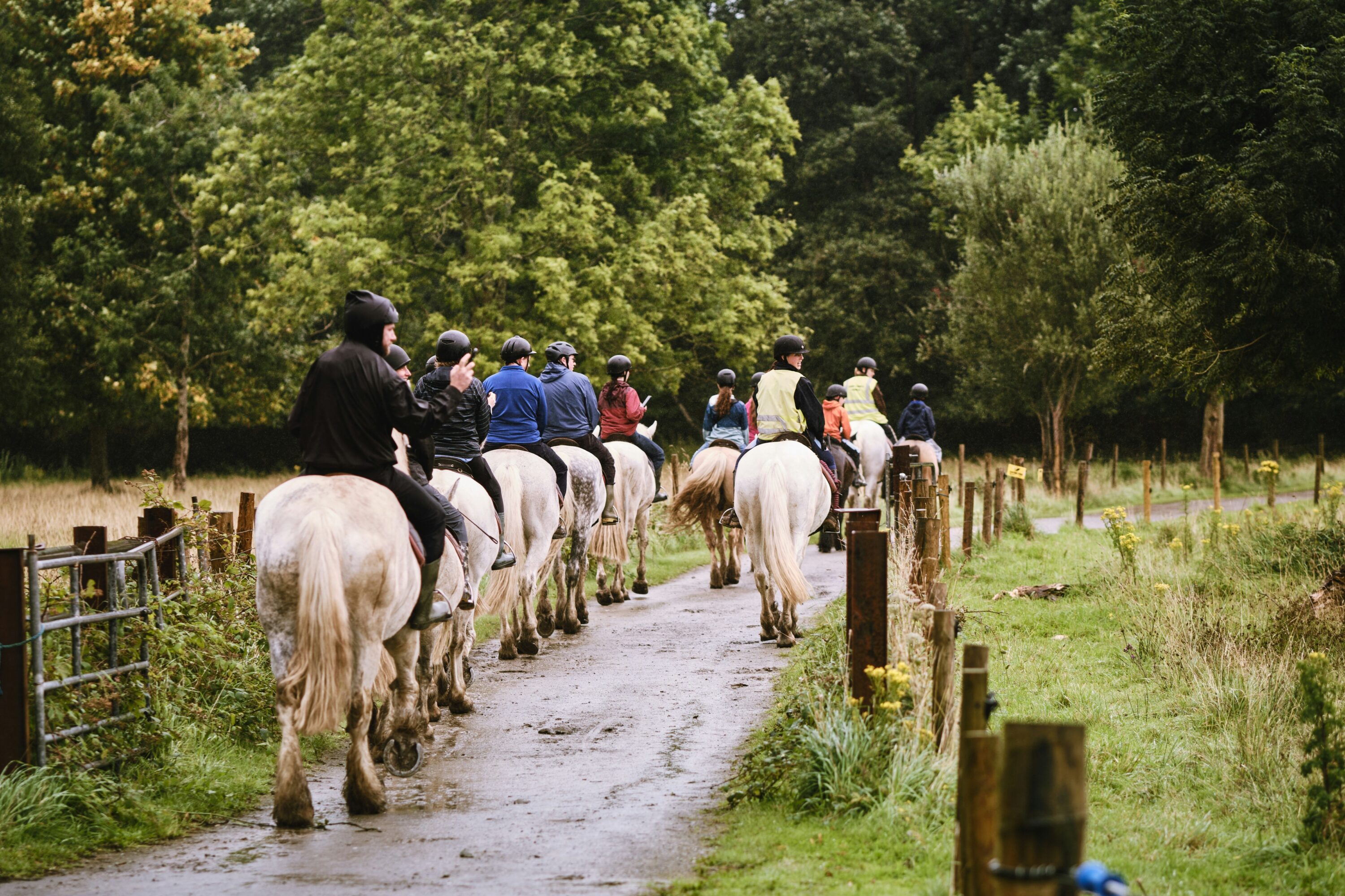 A group of people wearing helmets ride white horses along a dirt path surrounded by lush greenery and wooden fences, evoking a peaceful, adventurous atmosphere.