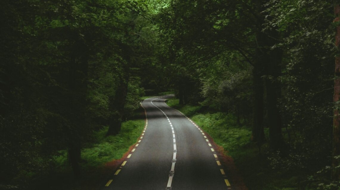 A narrow, winding road cuts through a dense, lush forest. Tall trees with vibrant green foliage arch over, creating a serene, secluded atmosphere.