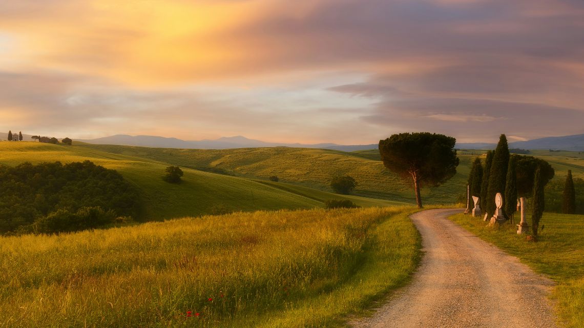 A serene country road winds through a lush, green landscape under a golden sunset sky. Rolling hills and scattered trees create a peaceful, pastoral scene.