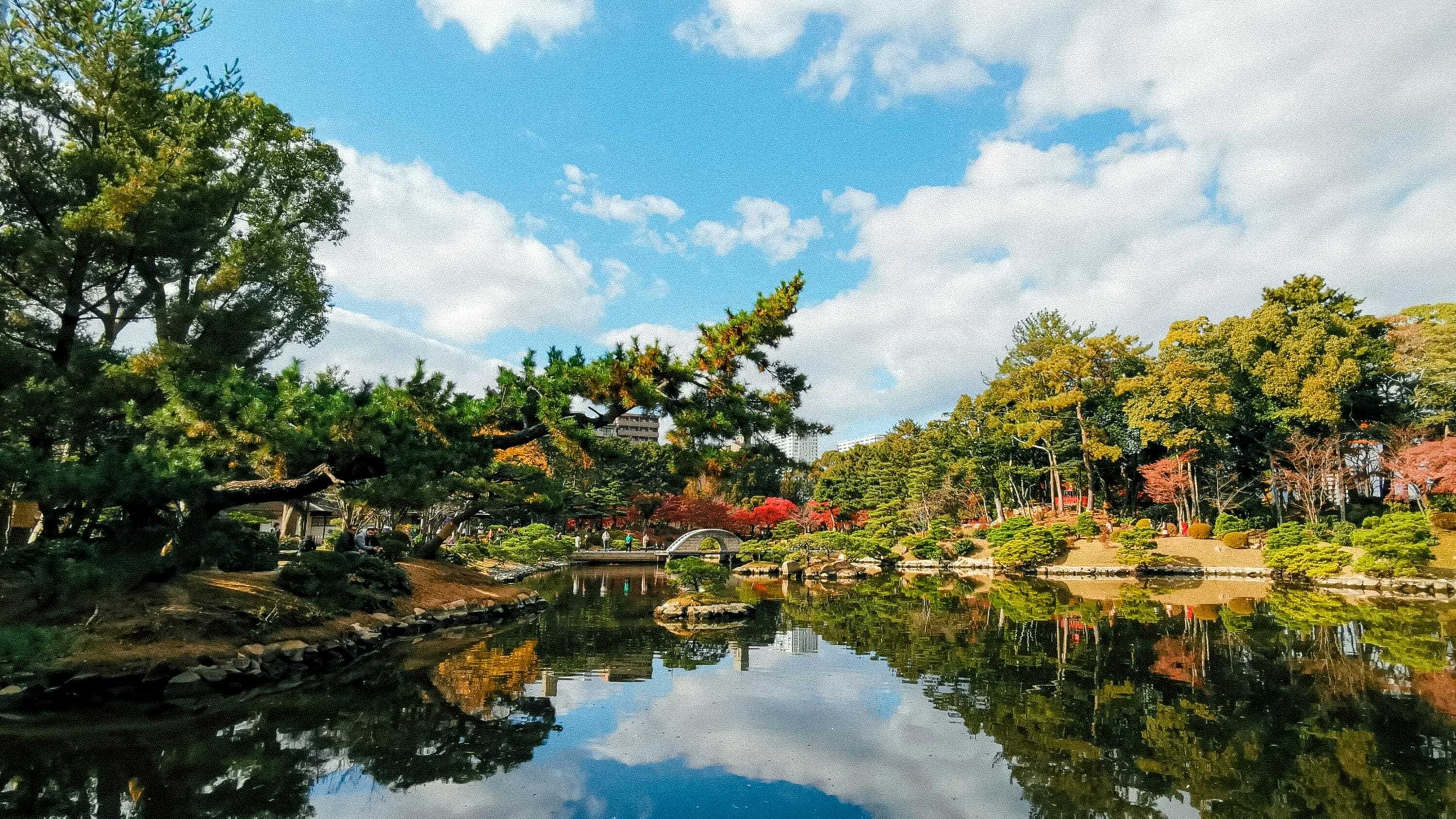 Tranquil Japanese garden scene with a serene pond reflecting lush trees and a small stone bridge under a blue sky with scattered clouds.
