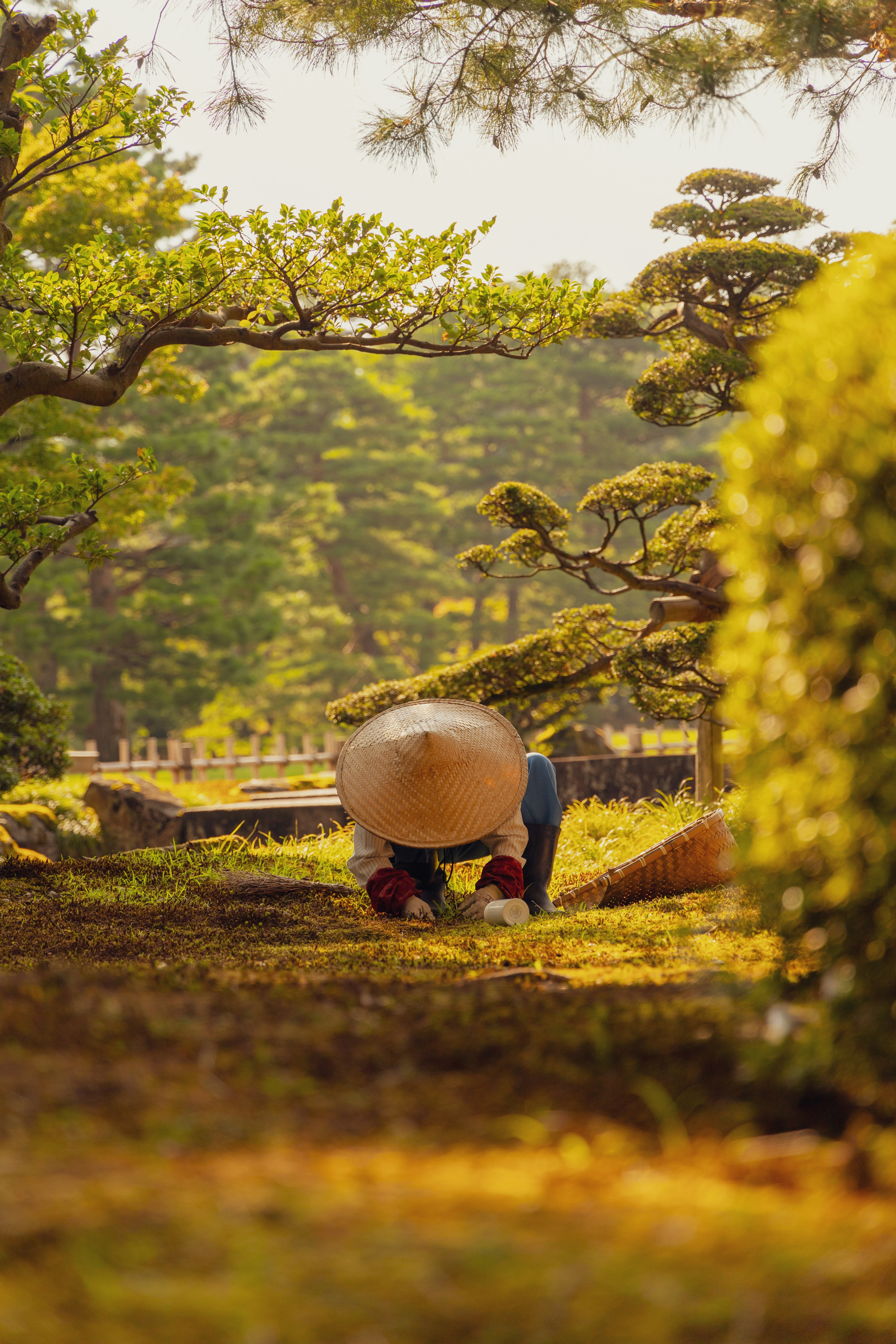 A gardener wearing a straw hat kneels on the grass in a tranquil Japanese garden, surrounded by lush greenery and artfully pruned trees under warm sunlight.
