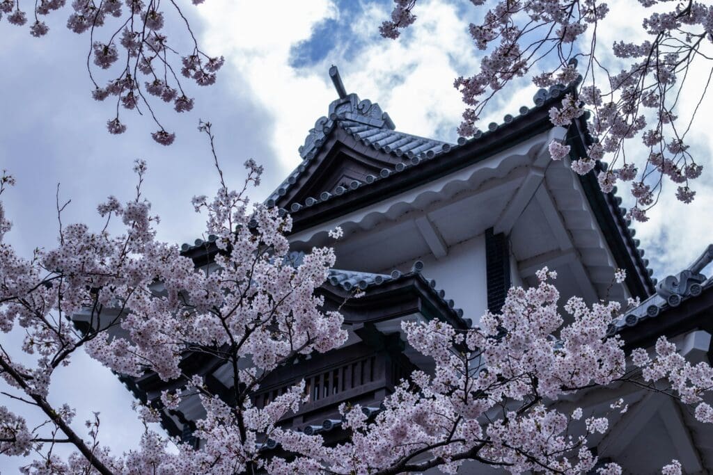 Japanese castle tower framed by blossoming cherry trees under a cloudy sky. The scene conveys tranquility and traditional beauty.