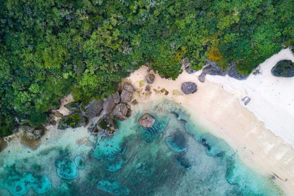 Aerial view of a lush green forest bordering a sandy beach with turquoise waters. Large rocks are scattered along the shoreline, creating a serene, natural landscape.