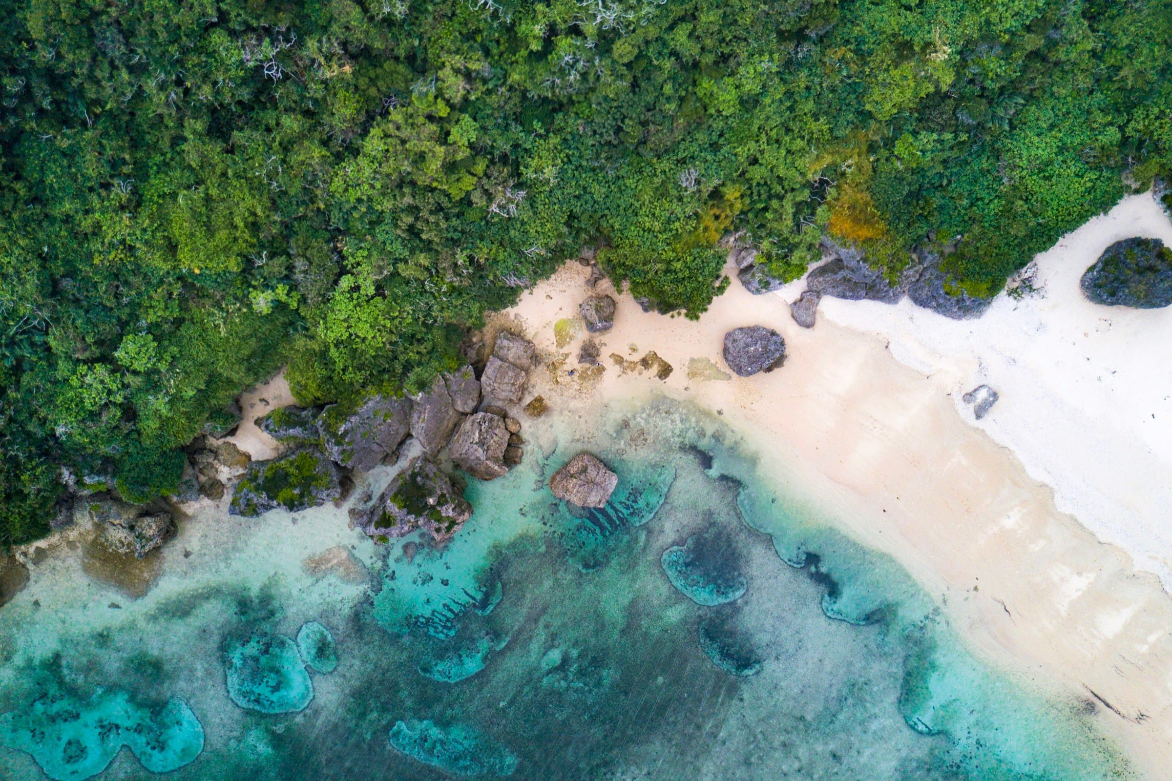 Aerial view of a lush green forest bordering a sandy beach with turquoise waters. Large rocks are scattered along the shoreline, creating a serene, natural landscape.