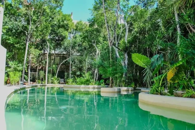 Tranquil scene of a clear turquoise pool surrounded by lush trees and tropical plants, evoking a serene and refreshing ambiance.