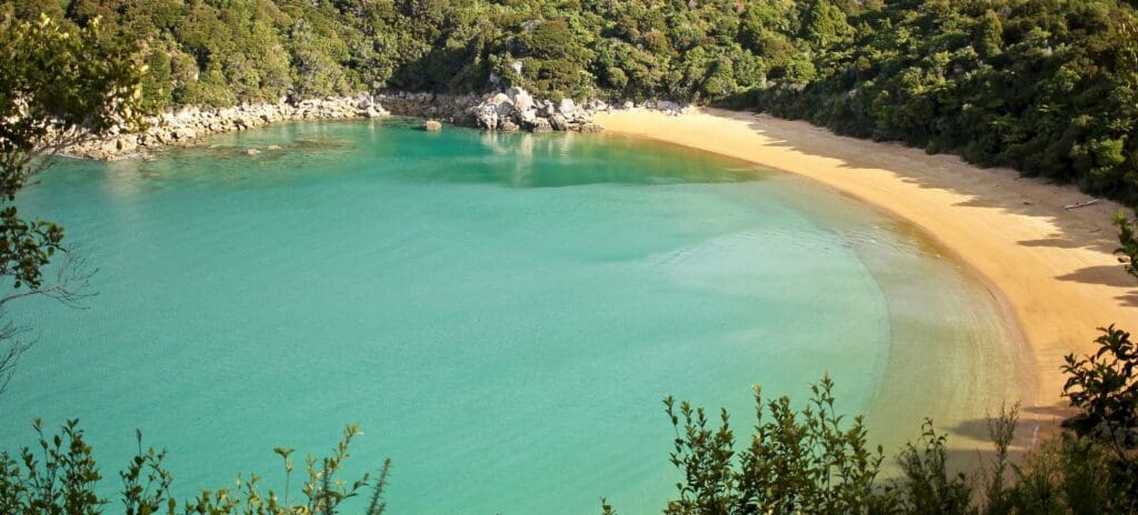 Crescent-shaped beach with lush tropical brush on the fringe
