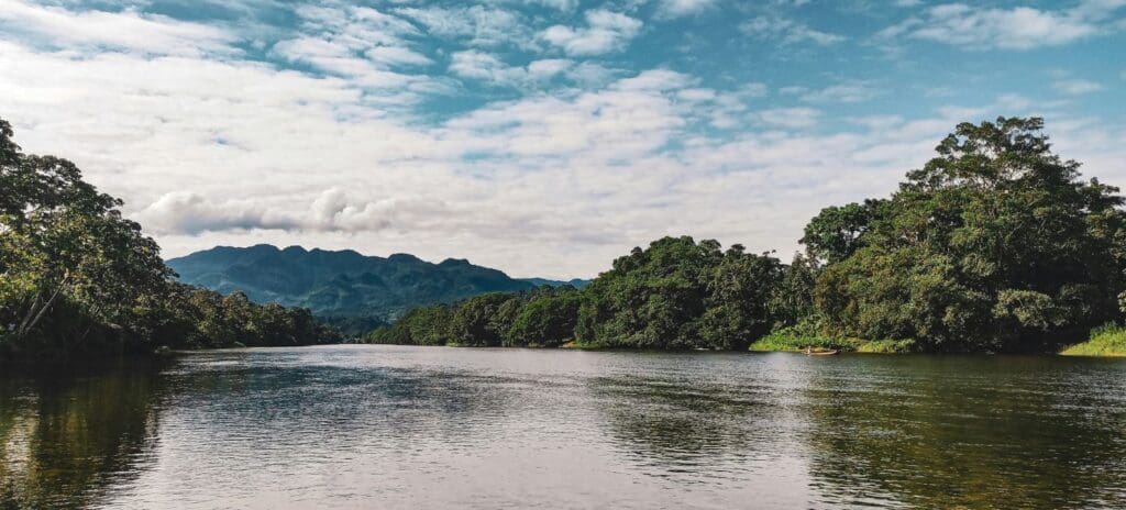 River surrounded by lush green forests under a partly cloudy sky. Mountains are visible in the background, creating a serene and tranquil atmosphere.