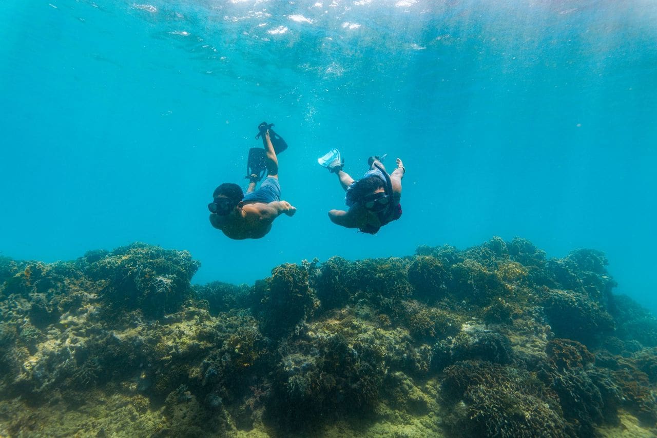 Two snorkelers swim above vibrant coral reefs in clear, turquoise water. Sunlight filters through, creating a serene and adventurous atmosphere.