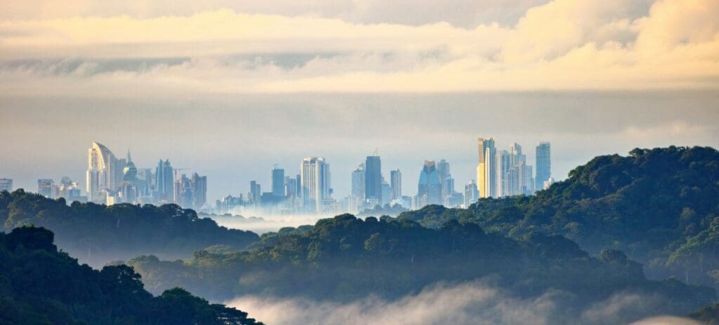 Skyline view with modern skyscrapers rising above a dense, mist-covered forest. Cloudy sky adds a serene contrast, blending nature and urbanity.