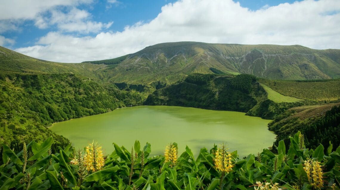 A serene green lake is surrounded by lush hills under a partly cloudy sky. The foreground features vibrant tropical plants with yellow flowers.