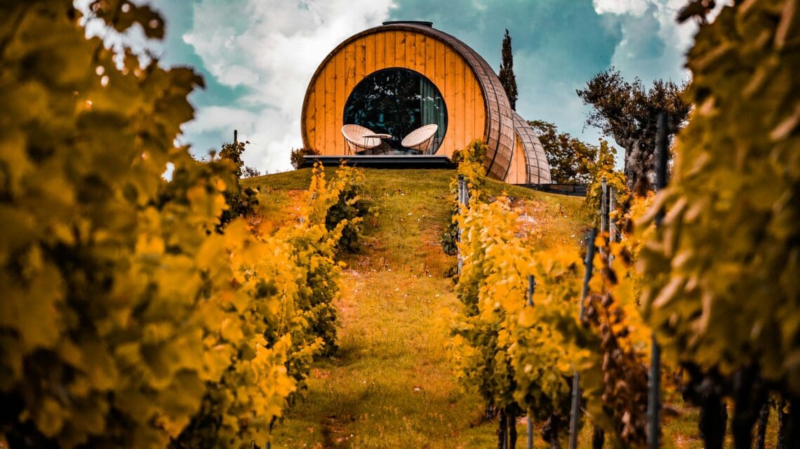 A wooden barrel-shaped cabin sits on a hilltop, framed by rows of vibrant vineyard foliage. Two chairs face outward, under a dramatic, cloudy sky.
