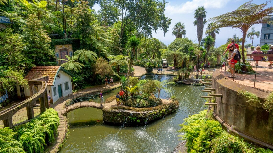 Lush, tropical garden with ferns and palm trees surrounds a winding river and stone bridges. People are enjoying the serene, sunny landscape.
