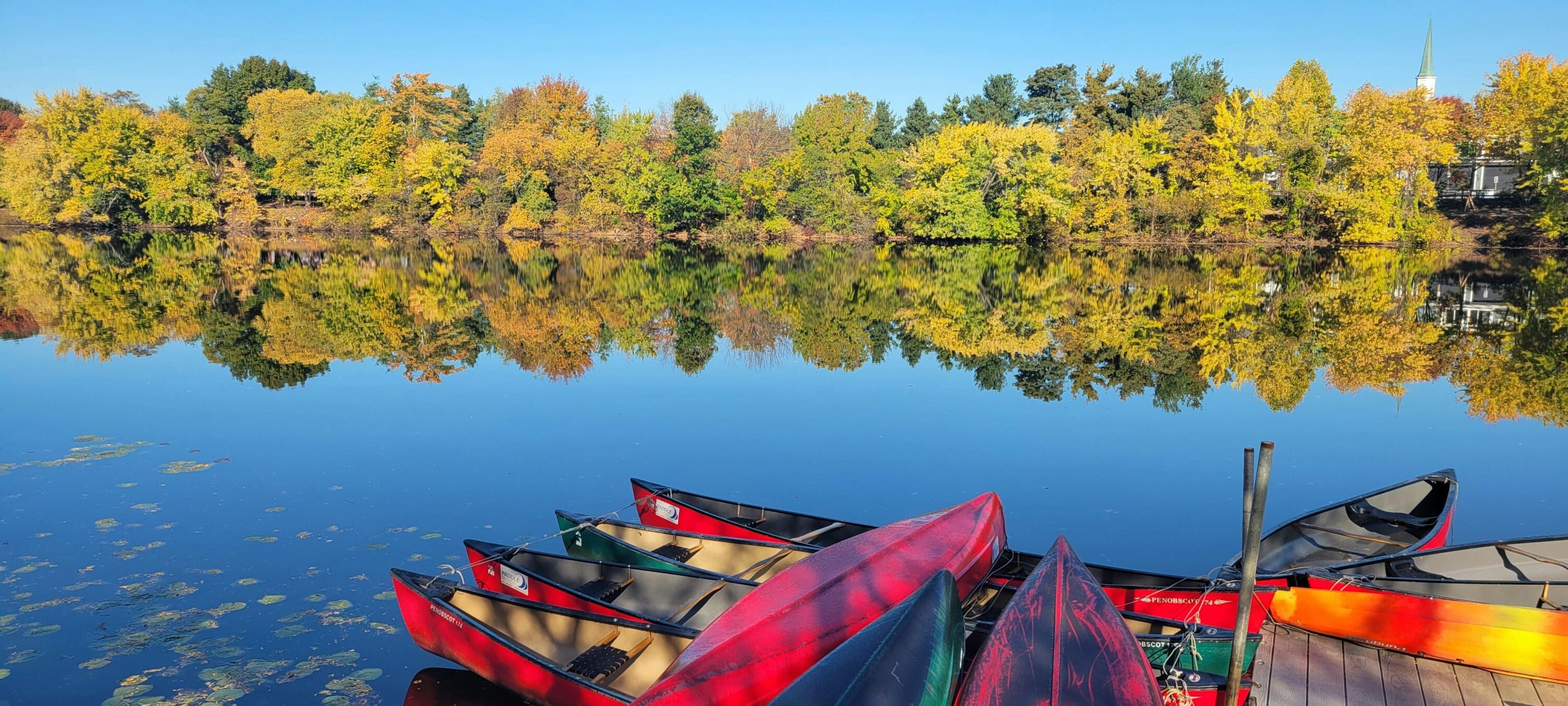 a couple of boats sitting on top of a lake with trees in the background