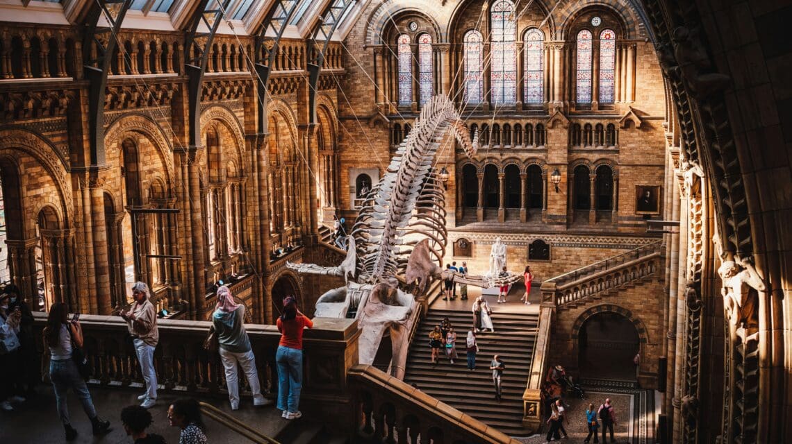 a large ornate room in a musuem with people and stairs with large whale skeleton hanging from the ceiling
