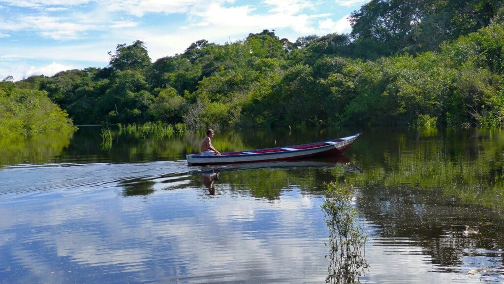 Canoe on a calm river in a lush jungle