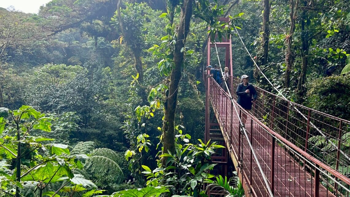 a-man-walking-across-a-red-bridge-in-the-middle-of-a-forest