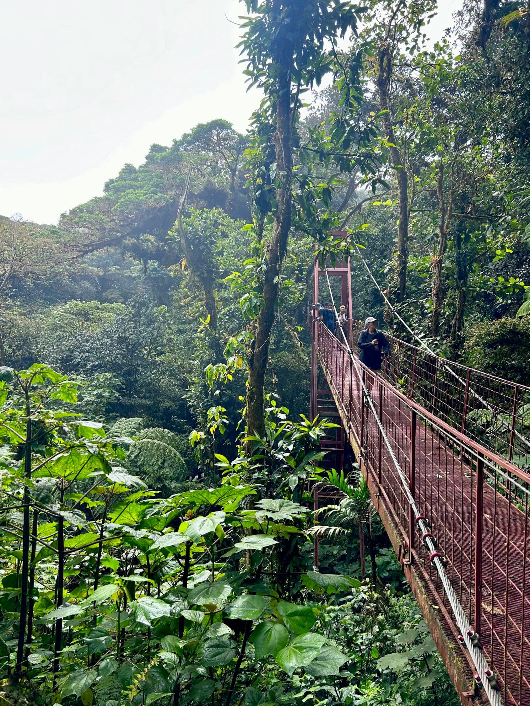 a-man-walking-across-a-red-bridge-in-the-middle-of-a-forest