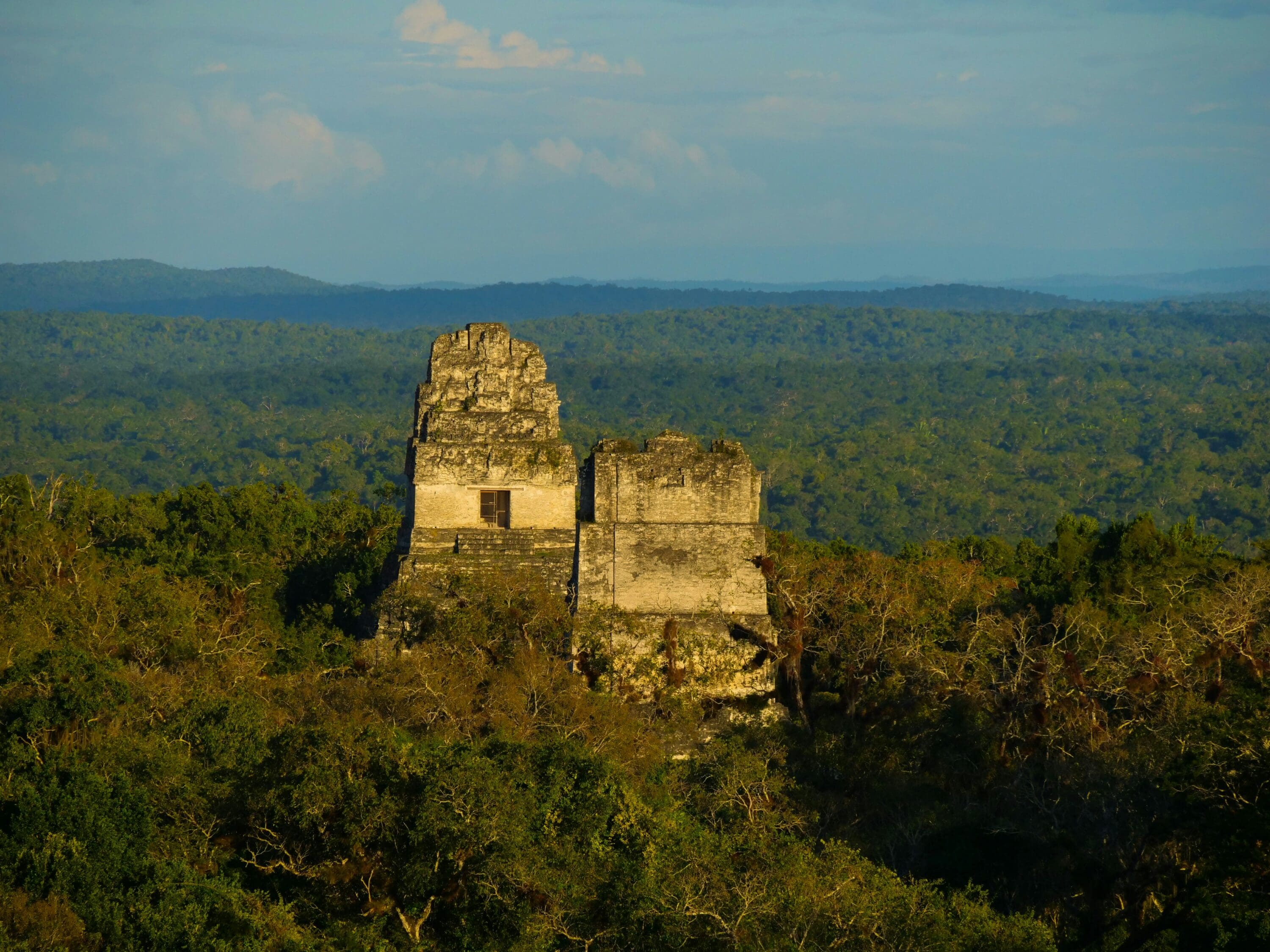 a stone structure in the middle of a forest