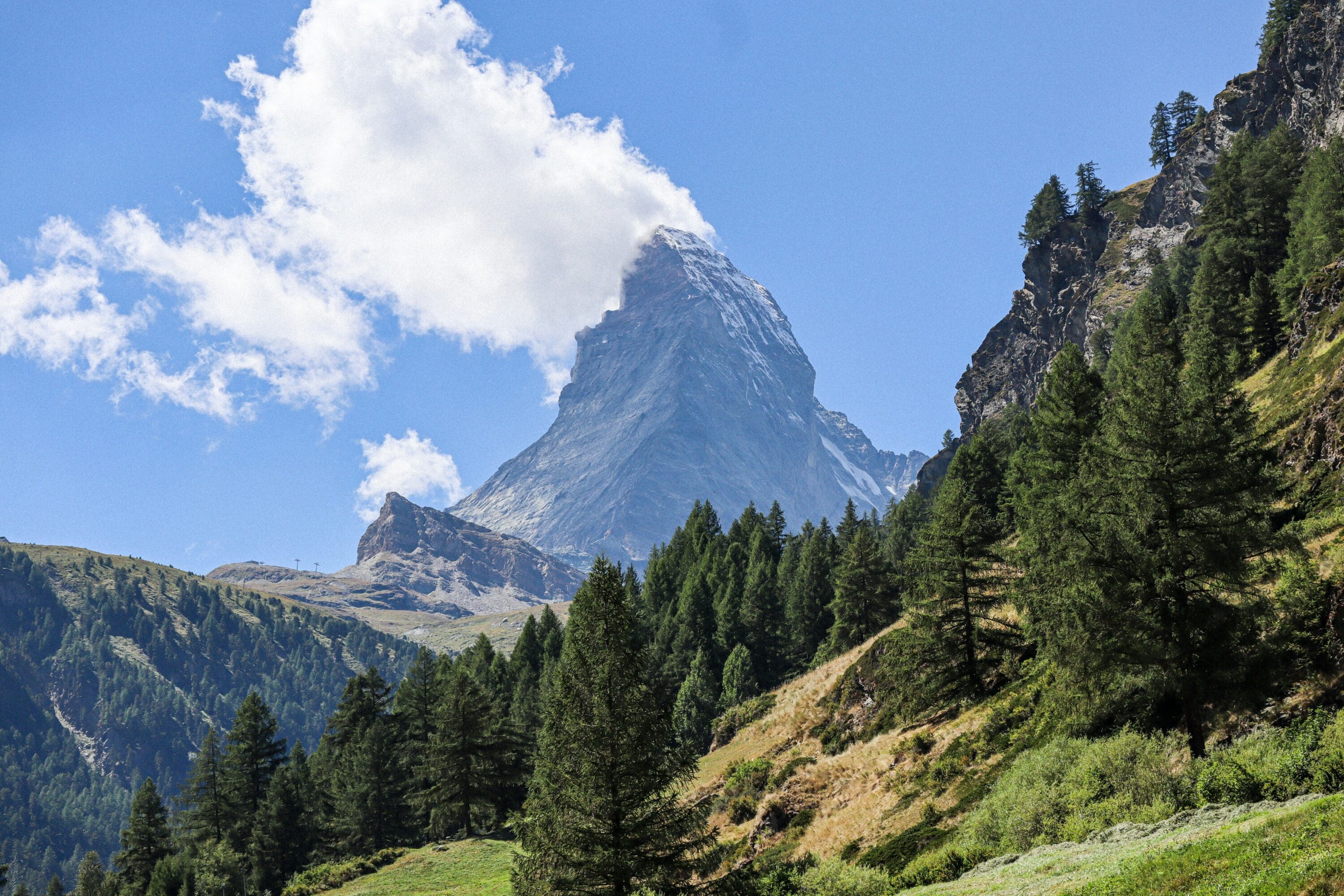 view of a mountain with trees and grass in the foreground