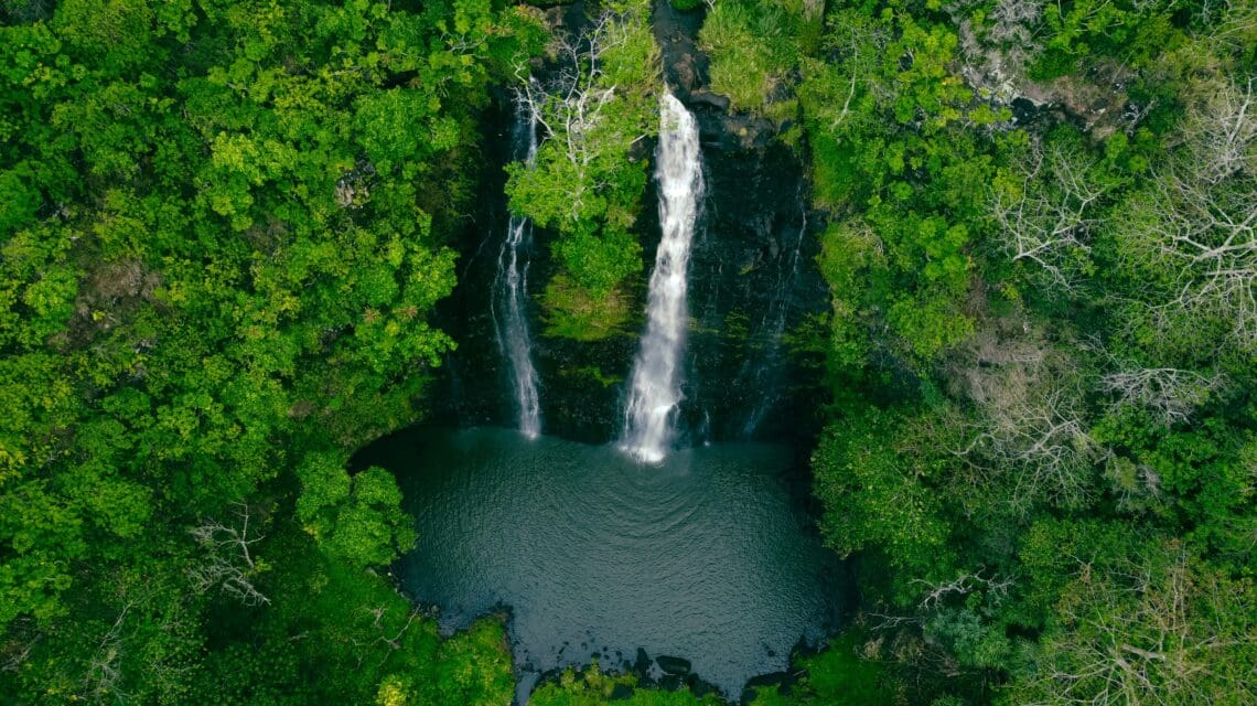a waterfall in the middle of a lush jungle forest