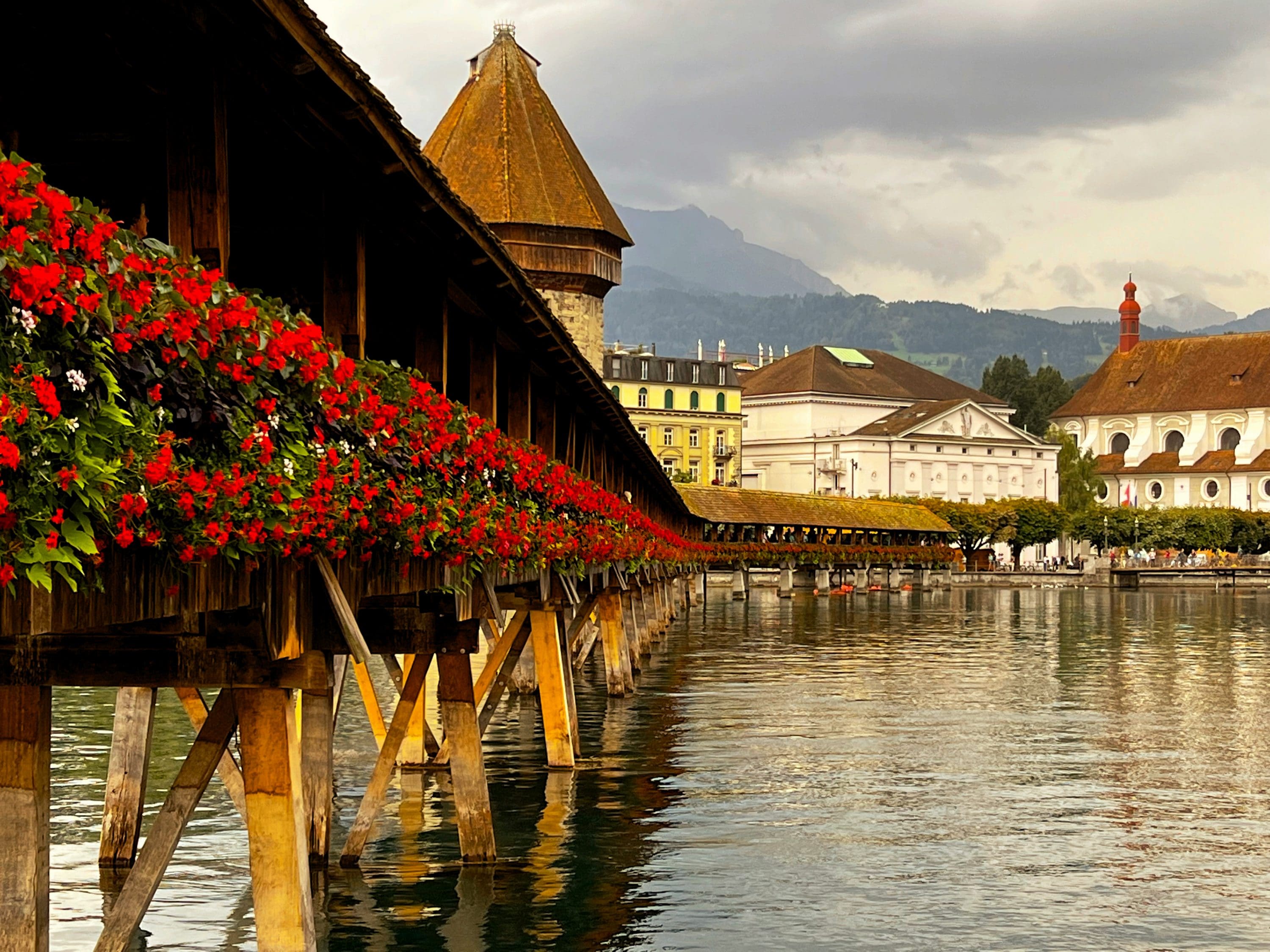 a wooden bridge over water with flowers on the side