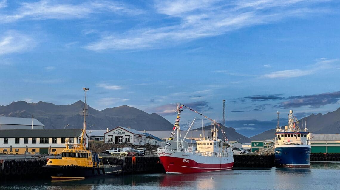 Commercial vessels docked at a calm harbor during the golden hour, with soft light illuminating the boats and a serene mountain backdrop under a lightly clouded sky.