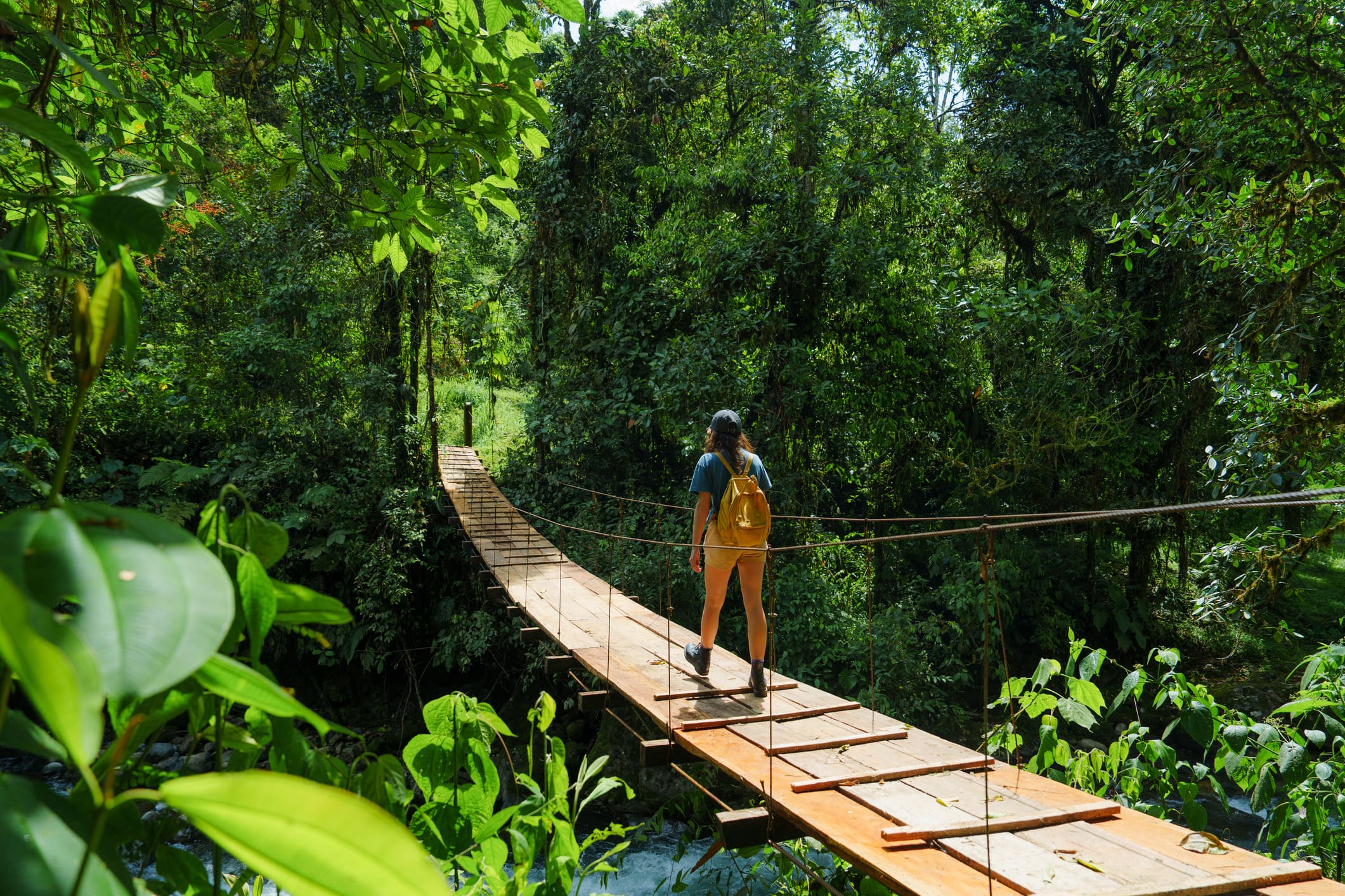 Woman on bridge over river in the jungles in Mindo, place of bird watching in Ecuador