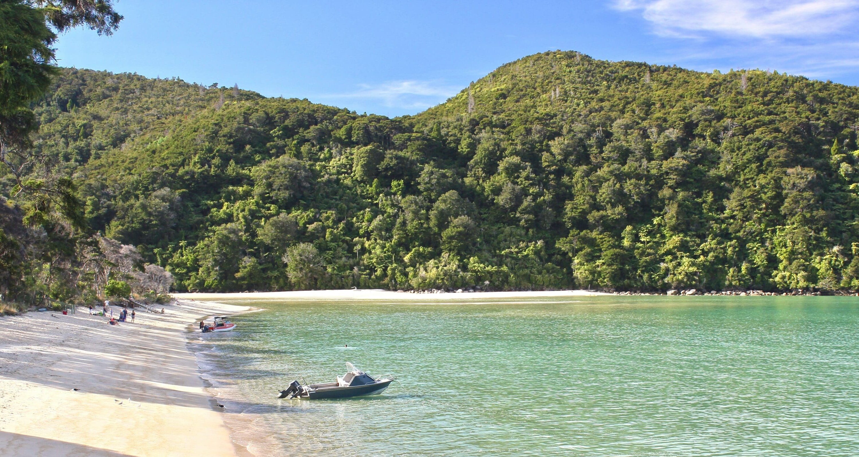 two white and black motorboats, anchored in clear water just off a sandy beach with lush vegetation in the background